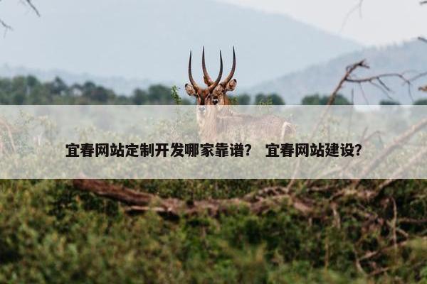 宜春网站定制开发哪家靠谱？ 宜春网站建设？