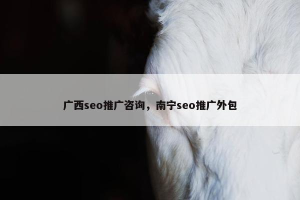 广西seo推广咨询，南宁seo推广外包