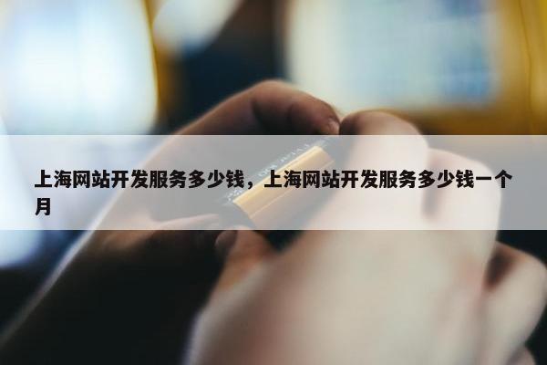 上海网站开发服务多少钱，上海网站开发服务多少钱一个月
