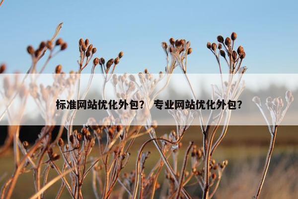标准网站优化外包？ 专业网站优化外包？