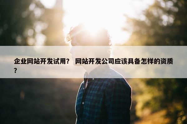 企业网站开发试用？ 网站开发公司应该具备怎样的资质？