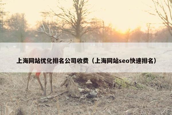 上海网站优化排名公司收费（上海网站seo快速排名）
