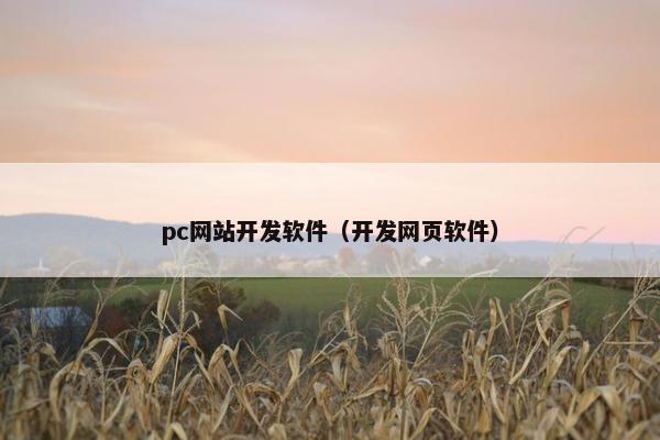 pc网站开发软件（开发网页软件）