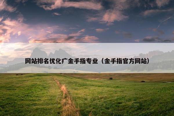 网站排名优化疒金手指专业（金手指官方网站）