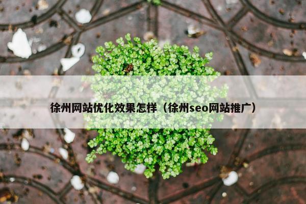 徐州网站优化效果怎样（徐州seo网站推广）