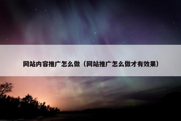 网站内容推广怎么做（网站推广怎么做才有效果）