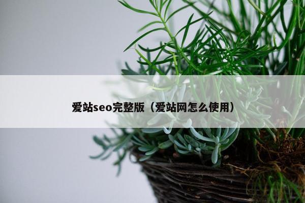 爱站seo完整版（爱站网怎么使用）