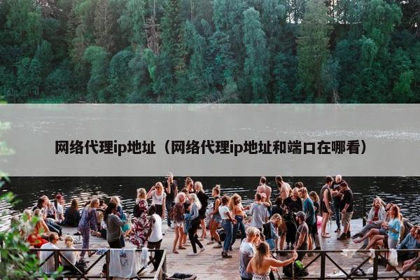 网络代理ip地址（网络代理ip地址和端口在哪看）