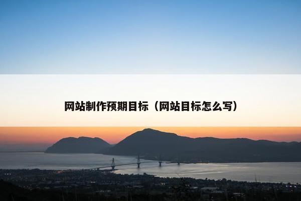 网站制作预期目标（网站目标怎么写）