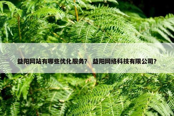 益阳网站有哪些优化服务？ 益阳网络科技有限公司？