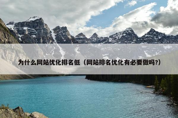 为什么网站优化排名低（网站排名优化有必要做吗?）