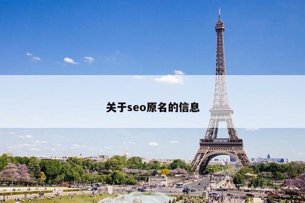 关于seo原名的信息