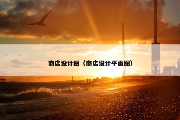 商店设计图（商店设计平面图）