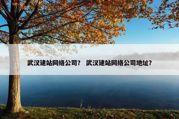 武汉建站网络公司？ 武汉建站网络公司地址？