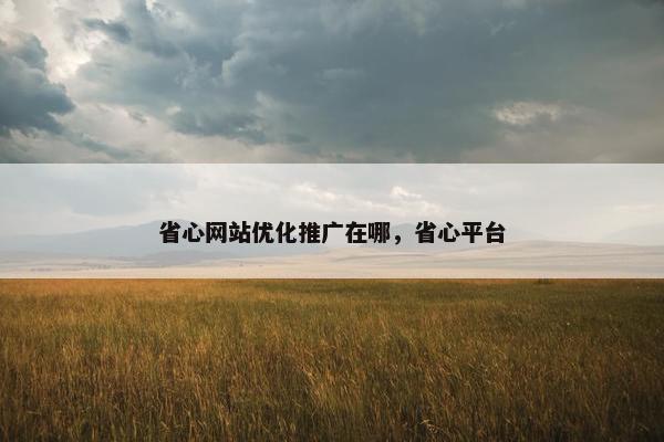 省心网站优化推广在哪，省心平台