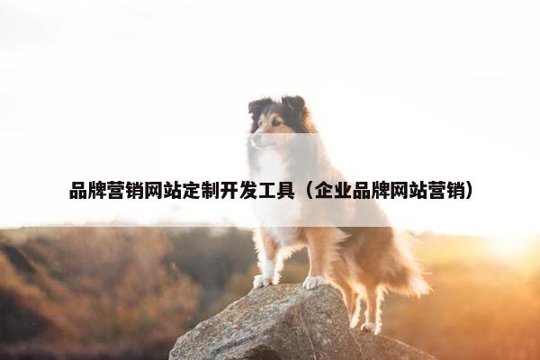品牌营销网站定制开发工具（企业品牌网站营销）