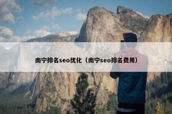 南宁排名seo优化（南宁seo排名费用）