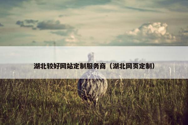 湖北较好网站定制服务商（湖北网页定制）