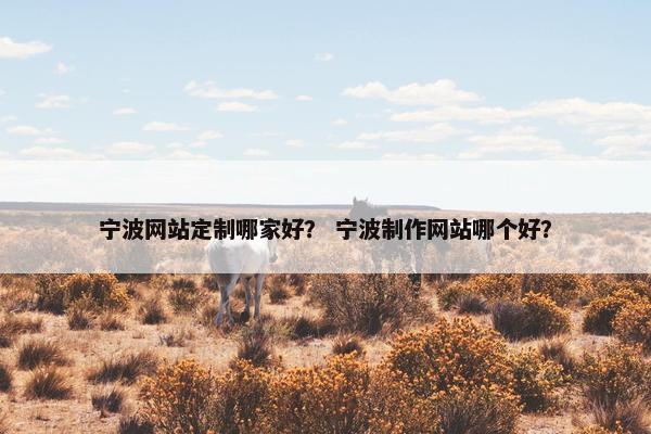 宁波网站定制哪家好？ 宁波制作网站哪个好？