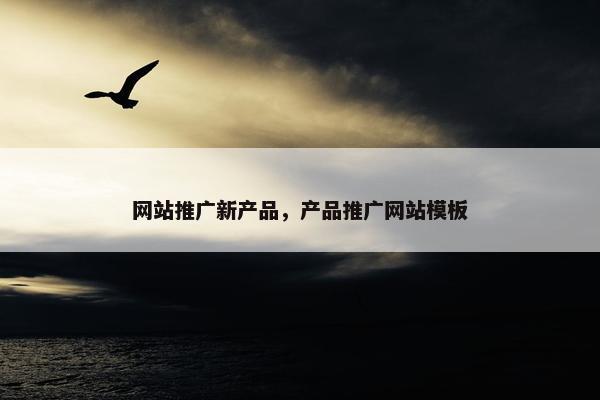 网站推广新产品，产品推广网站模板