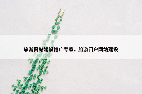 旅游网站建设推广专家，旅游门户网站建设