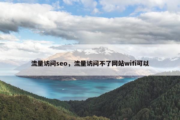 流量访问seo，流量访问不了网站wifi可以