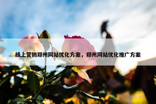 线上营销郑州网站优化方案，郑州网站优化推广方案