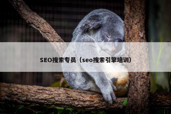 SEO搜索专员（seo搜索引擎培训）