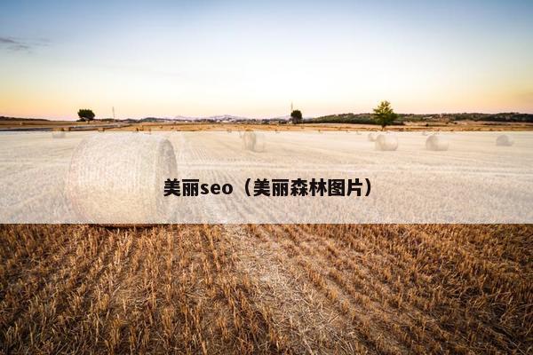 美丽seo（美丽森林图片）