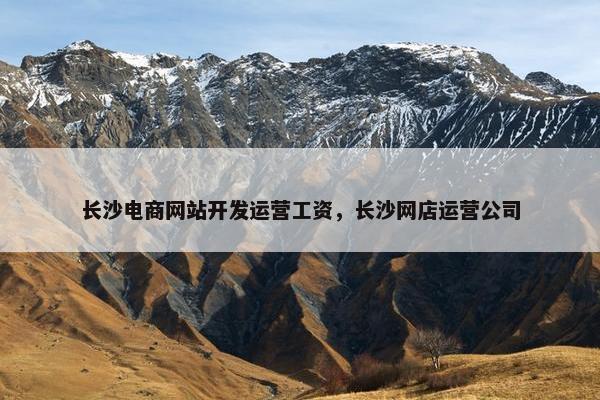 长沙电商网站开发运营工资，长沙网店运营公司