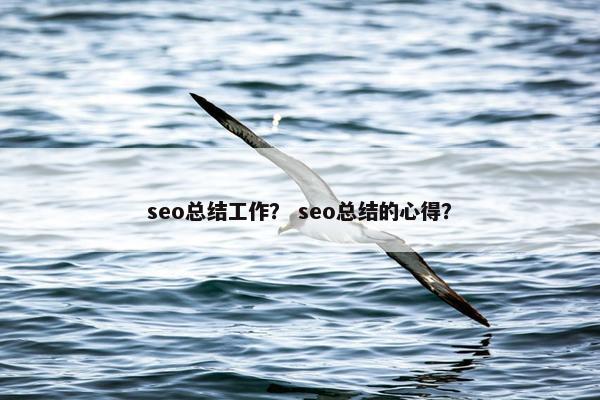 seo总结工作？ seo总结的心得？