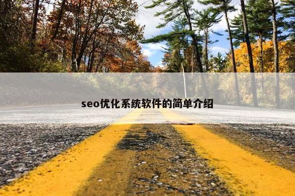seo优化系统软件的简单介绍
