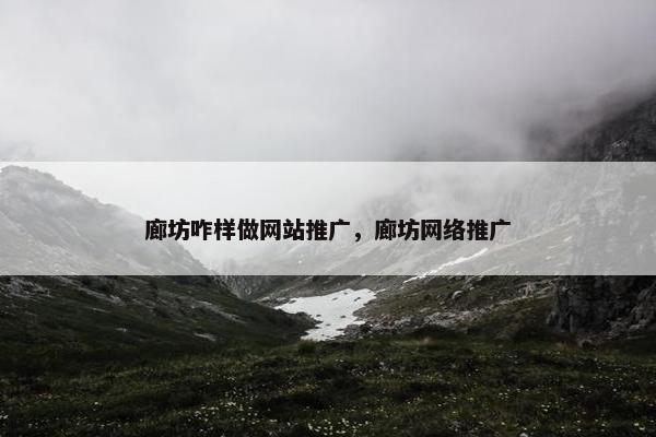廊坊咋样做网站推广，廊坊网络推广