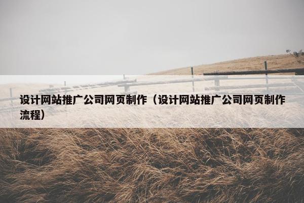 设计网站推广公司网页制作（设计网站推广公司网页制作流程）