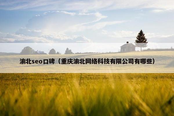 渝北seo口碑（重庆渝北网络科技有限公司有哪些）
