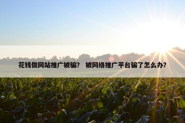 花钱做网站推广被骗？ 被网络推广平台骗了怎么办？