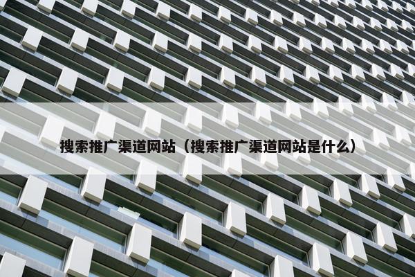 搜索推广渠道网站（搜索推广渠道网站是什么）
