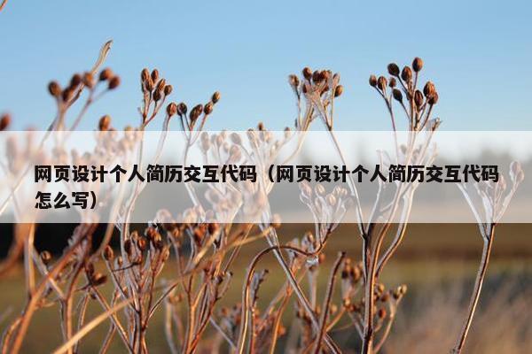 网页设计个人简历交互代码（网页设计个人简历交互代码怎么写）