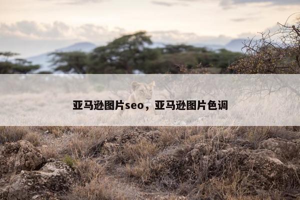 亚马逊图片seo，亚马逊图片色调
