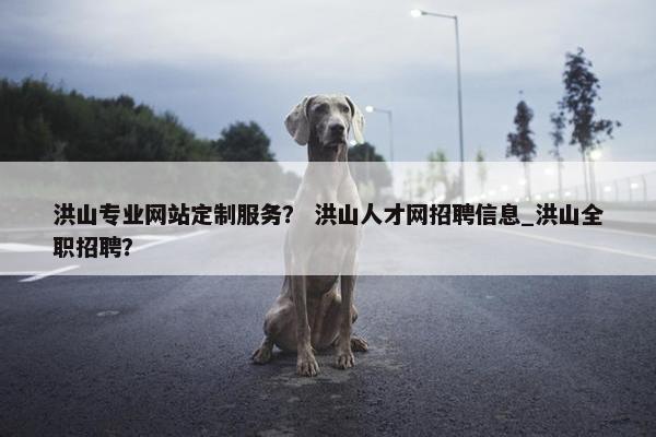 洪山专业网站定制服务？ 洪山人才网招聘信息_洪山全职招聘？