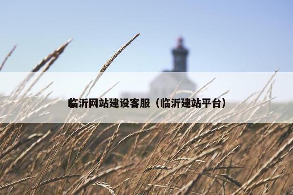 临沂网站建设客服（临沂建站平台）