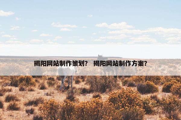 揭阳网站制作策划？ 揭阳网站制作方案？