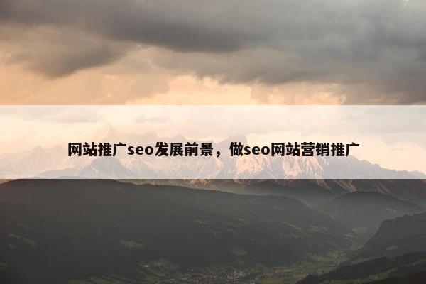 网站推广seo发展前景，做seo网站营销推广