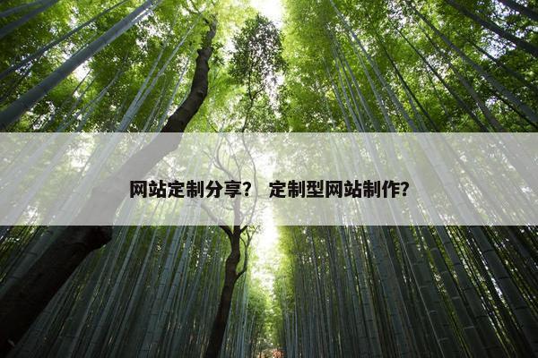 网站定制分享？ 定制型网站制作？