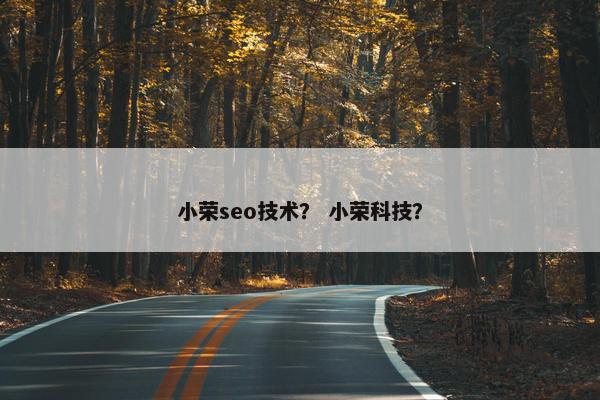 小荣seo技术？ 小荣科技？