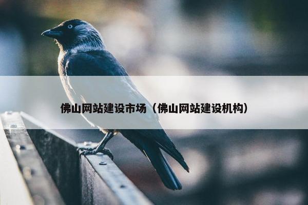 佛山网站建设市场（佛山网站建设机构）