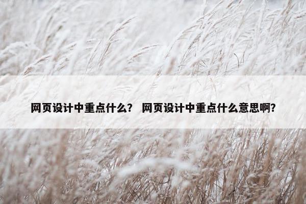 网页设计中重点什么？ 网页设计中重点什么意思啊？