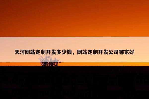 天河网站定制开发多少钱，网站定制开发公司哪家好