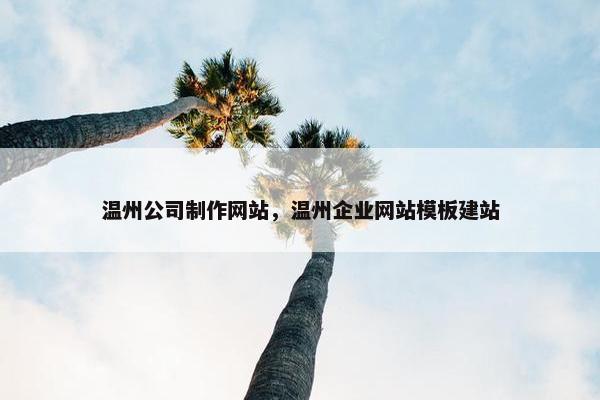 温州公司制作网站，温州企业网站模板建站