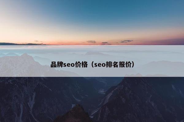 品牌seo价格（seo排名报价）